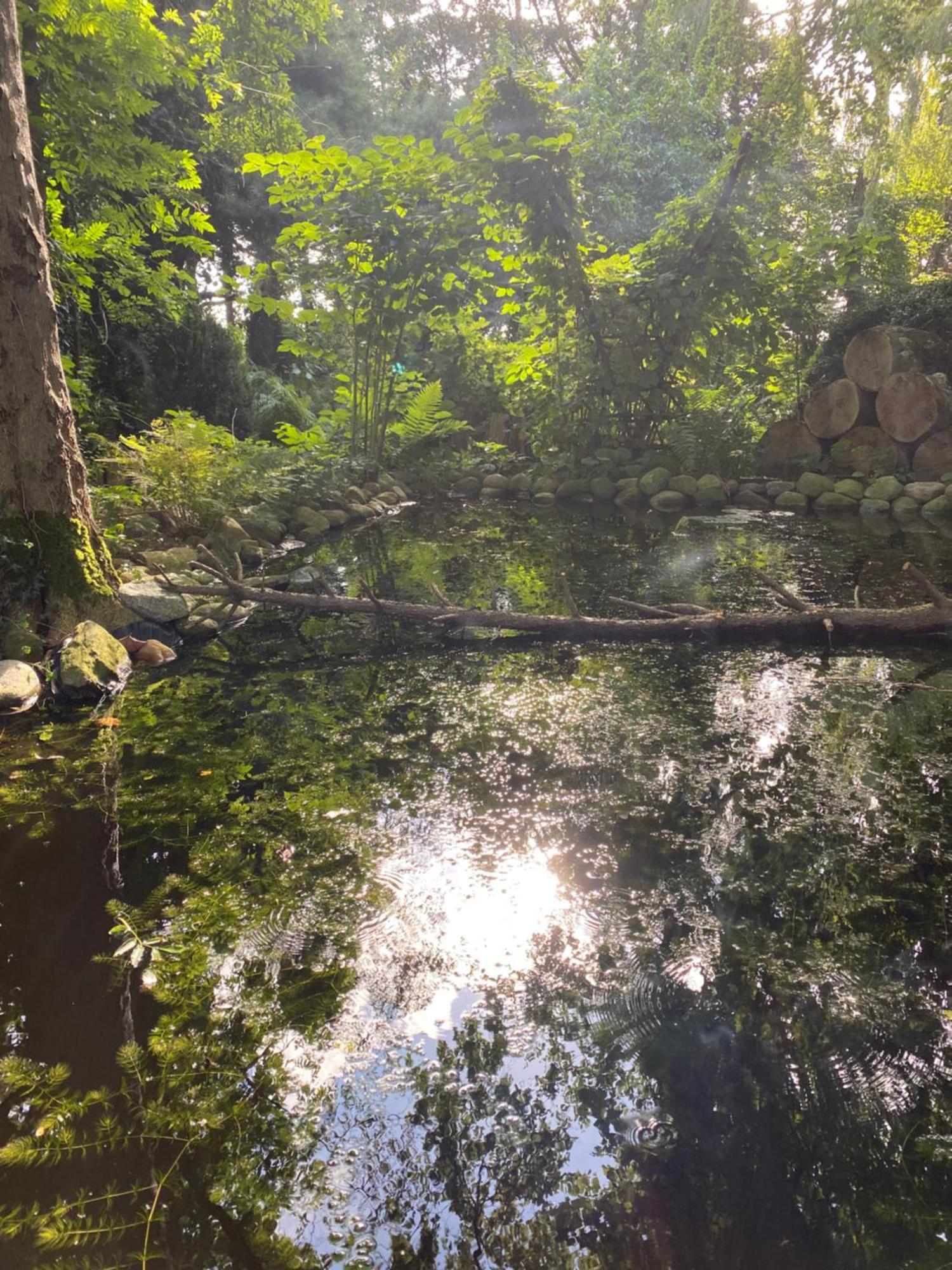 Ferienwohnung Auf Einem Resthof Zentral Gelegen Mit Viel Natur Und Tieren Rendswuhren Ngoại thất bức ảnh