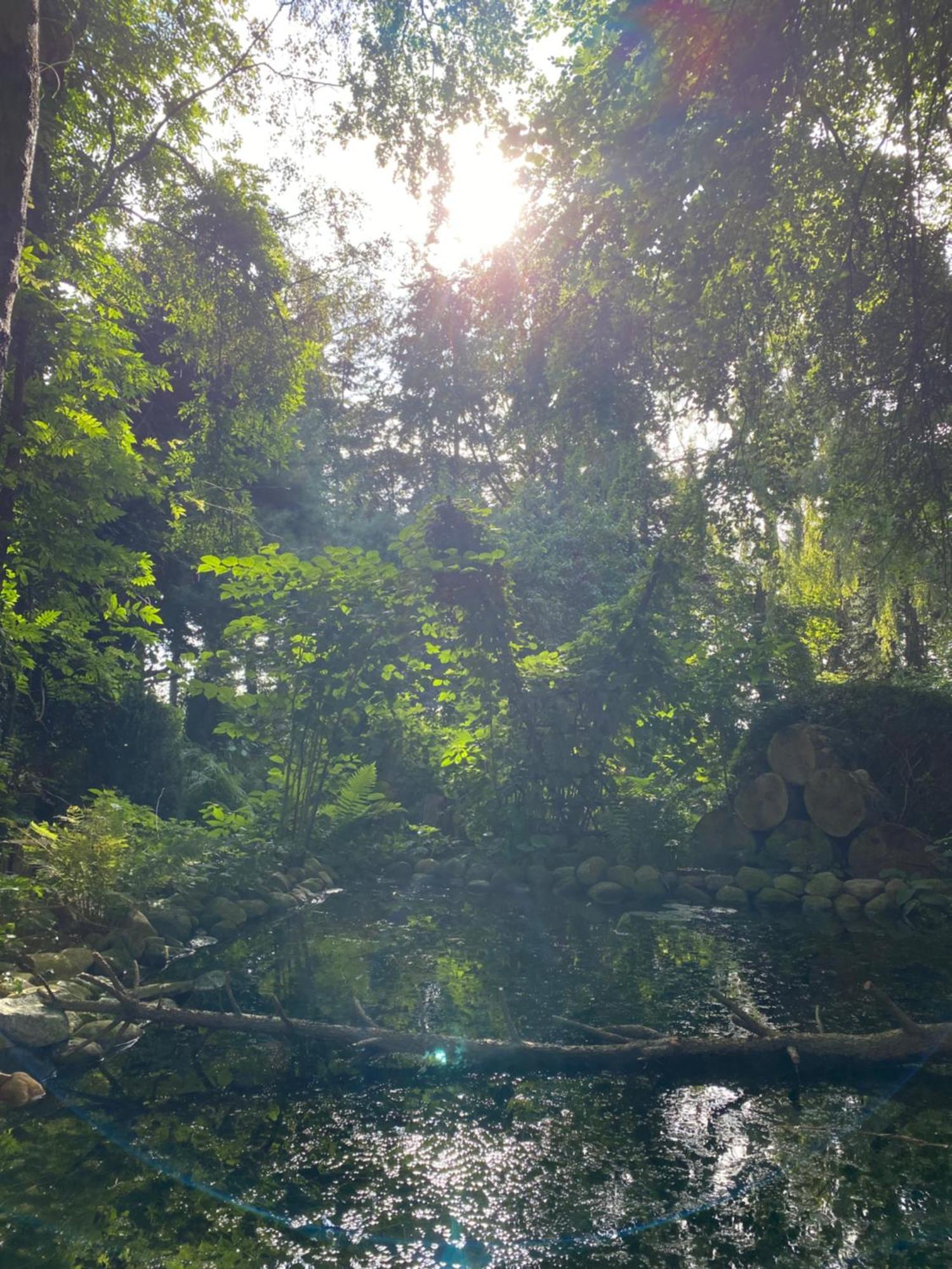 Ferienwohnung Auf Einem Resthof Zentral Gelegen Mit Viel Natur Und Tieren Rendswuhren Ngoại thất bức ảnh